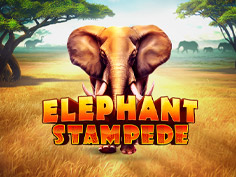 Elephant Stampede