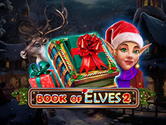 Book Of Elves 2
