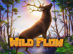 Wild Flow