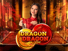 Dragon Dragon