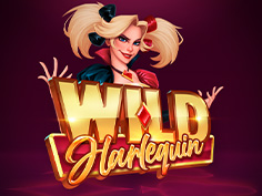 Wild Harlequin