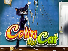 Colin The Cat