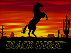 Black Horse