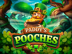 Paddys Pooches