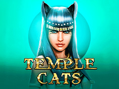 Temple Cats 