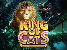King Of Cat