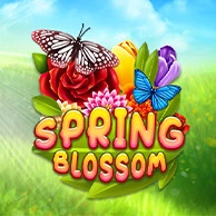 Spring Blossom