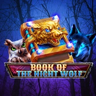 Book of the Night Wolf