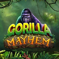 Gorilla Mayhem 