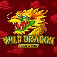 Wild Dragon Hold And Win 
