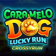 Caramelo Dog: Lucky Run