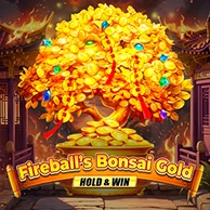 Fireballs Bonsai Gold Hold And Win