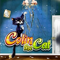Colin The Cat