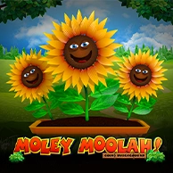 Moley Moolah Going Underground