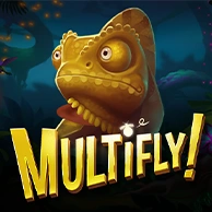 MultiFly