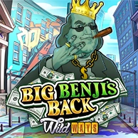 Big Benjis Back WildWays