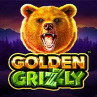 Golden Grizzly