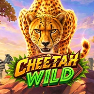Cheetah Wild