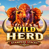 Wild Herd Stampede Stacks