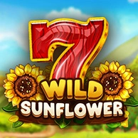 Wild Sunflower