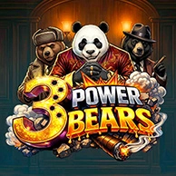 3 Power Bears