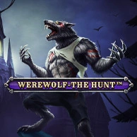 Werewolf - The Hunt