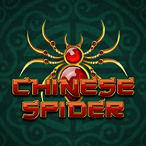 Chinese Spider