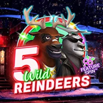 5 Wild Reindeers