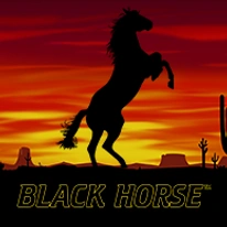 Black Horse