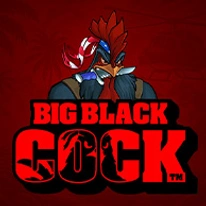 Big Black Cock