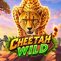 Cheetah Wild