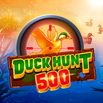 Duck Hunt 500