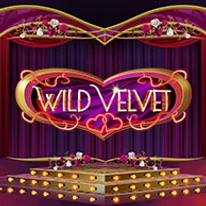 Wild Velvet