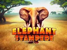 Elephant Stampede