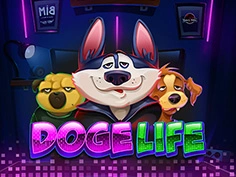 Doge Life
