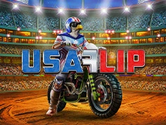 USA Flip