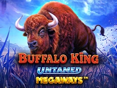 Buffalo King Untamed Megaways