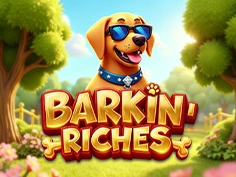 Barkin Riches