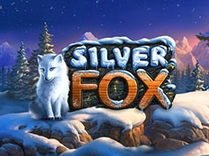 Silver Fox