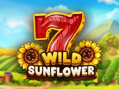 Wild Sunflower
