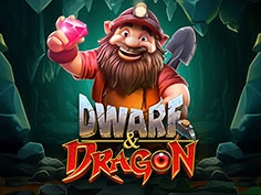 Dwarf And Dragon