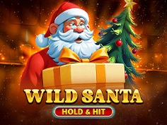 Wild Santa - Hold And Hit