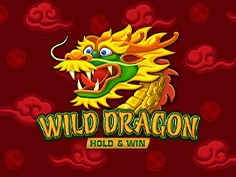 Wild Dragon Hold And Win 