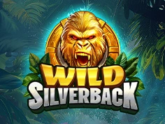 Wild Silverback