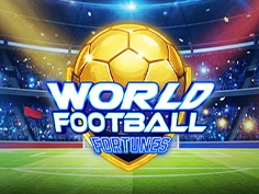 World Football Fortunes