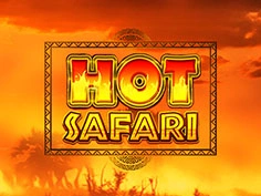 Hot Safari 