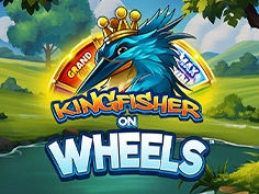 Kingfisher On Wheels