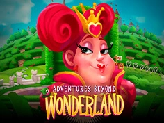 Adventures Beyond Wonderland Magical Maze