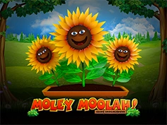Moley Moolah Going Underground