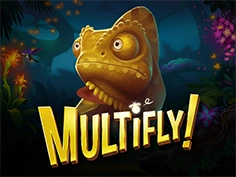MultiFly